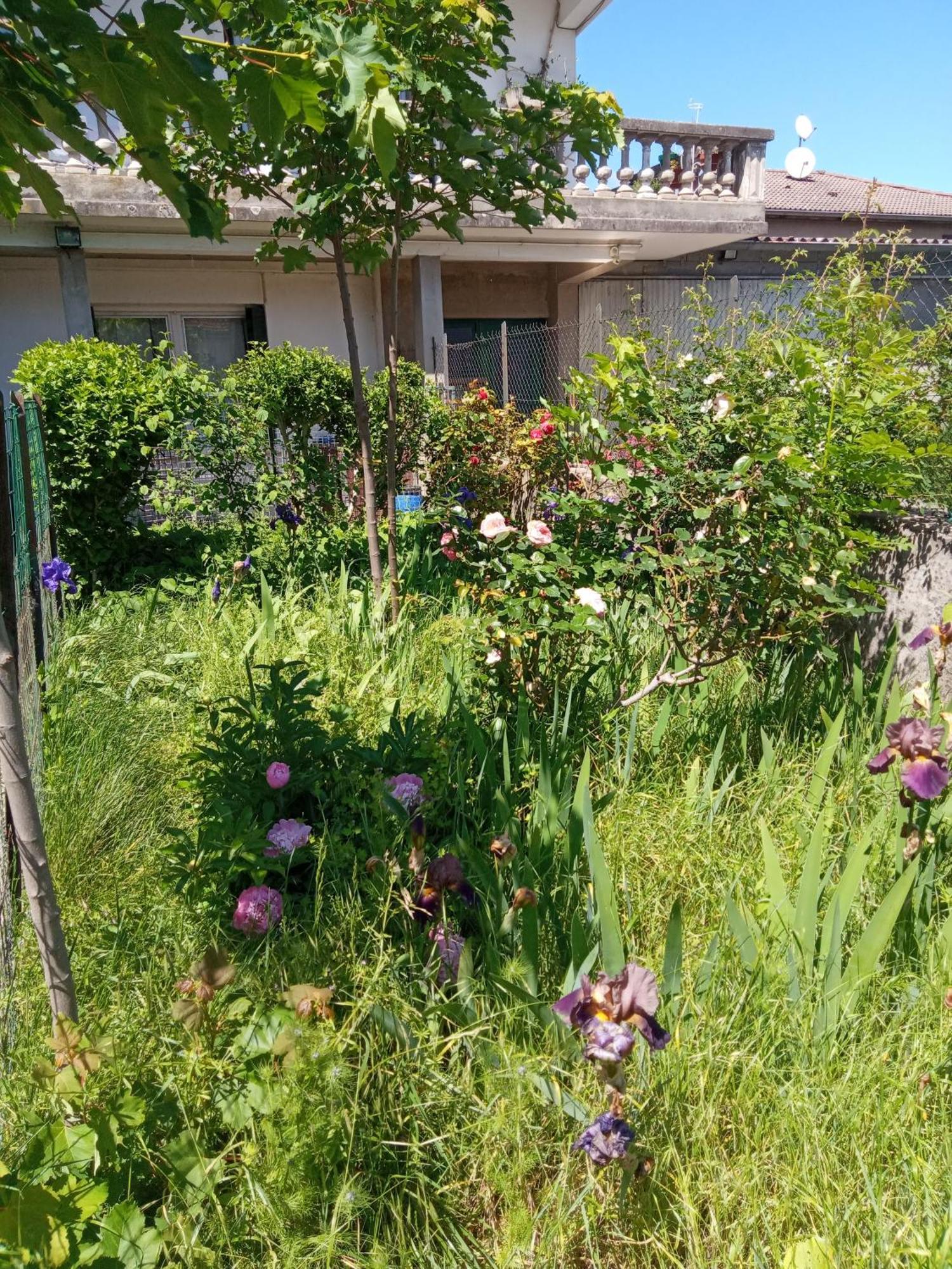 Rosalie Cottage Beaurepaire  Экстерьер фото