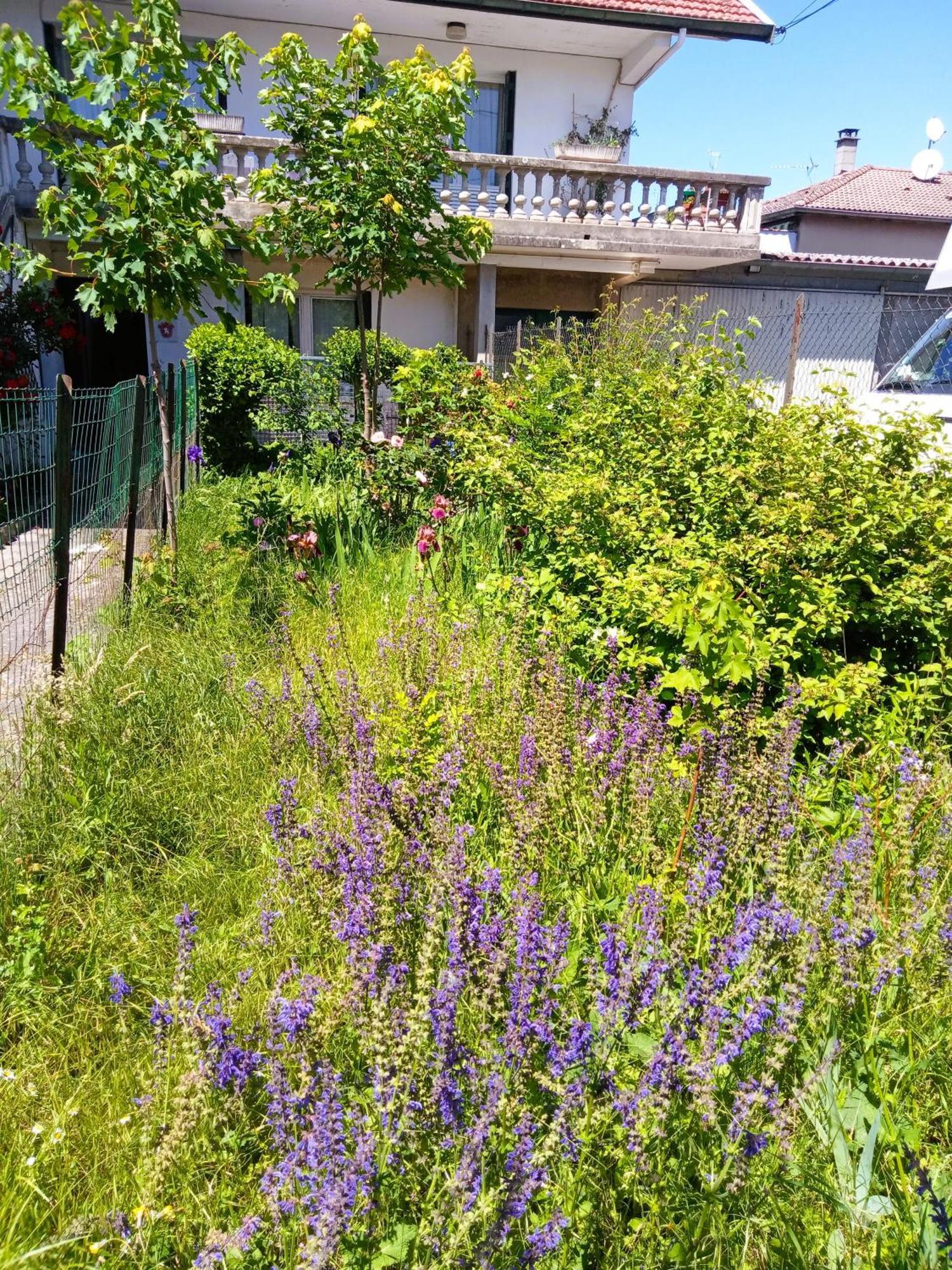 Rosalie Cottage Beaurepaire  Экстерьер фото